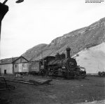 Moribund Mudhen